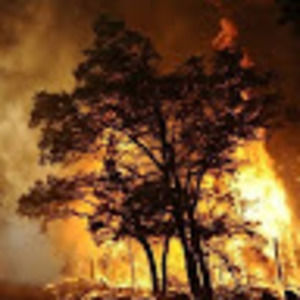 Meet your Posher, Kellie